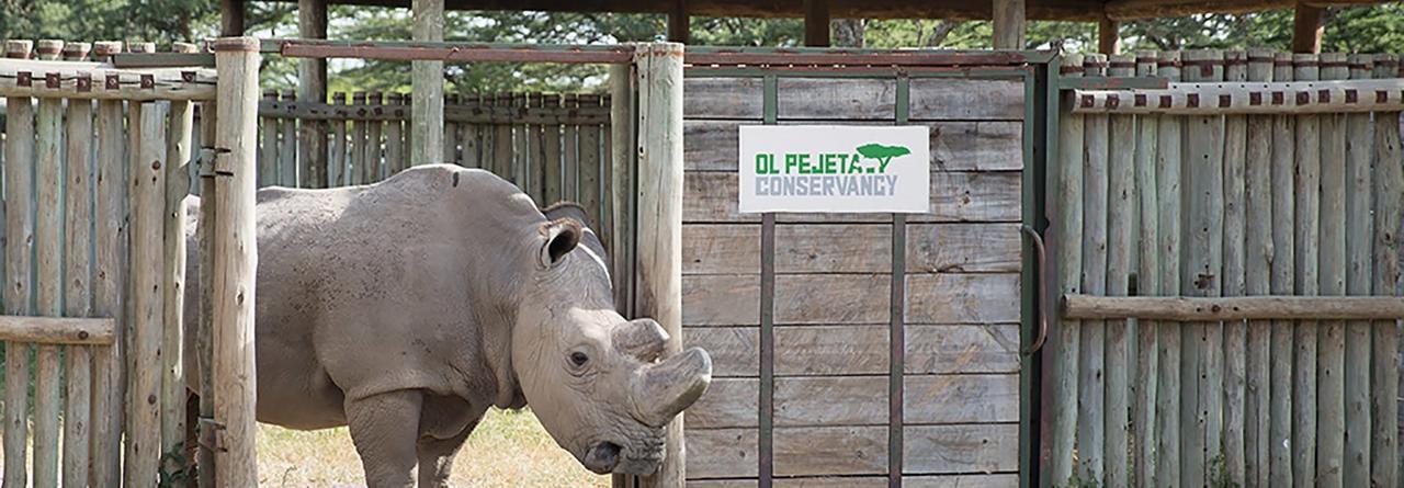 Ol Pejeta Holiday Villas Nanyuki Exteriör bild